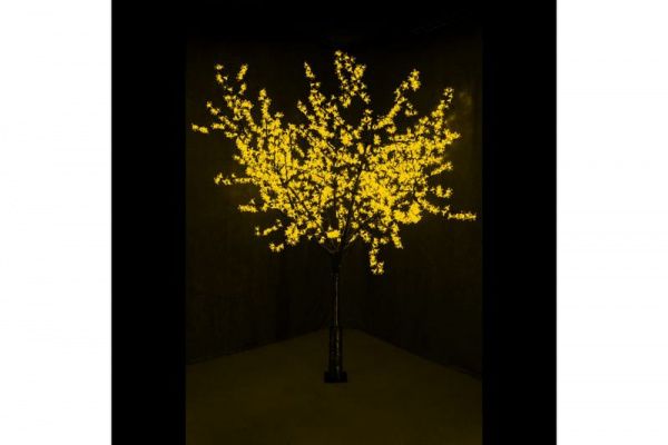 Изображение загружено из каталога картинок. //***VAD***// Изображение загружено из каталога картинок. //***VAD***//